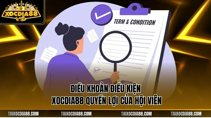 Điều khoản điều kiện Xocdia88 quyền lợi của hội viên