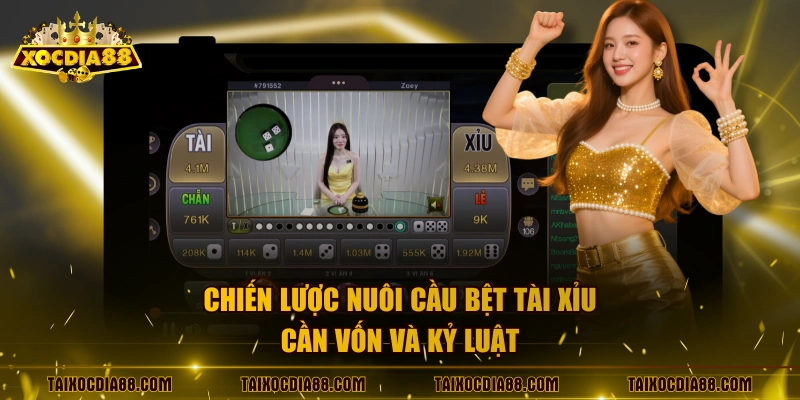 Chiến lược nuôi cầu bệt tài xỉu cần vốn và kỷ luật